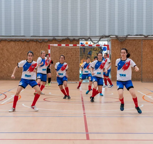 Club Futbol Sala Palmasec 2021