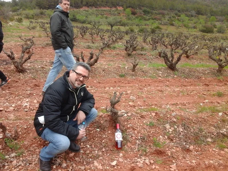 Celler de Ronda