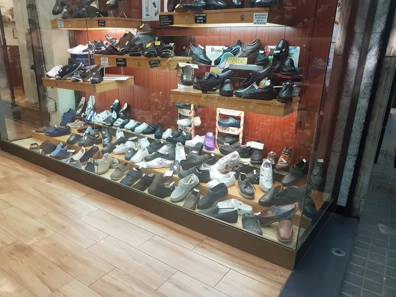 CALZADOS SIR SANT ANDREU