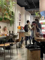 Los 4 restaurantes Vegetarianos de El born Barcelona