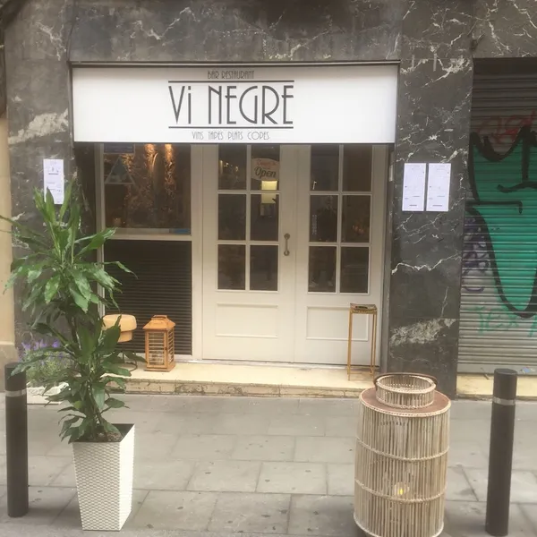 Vi Negre
