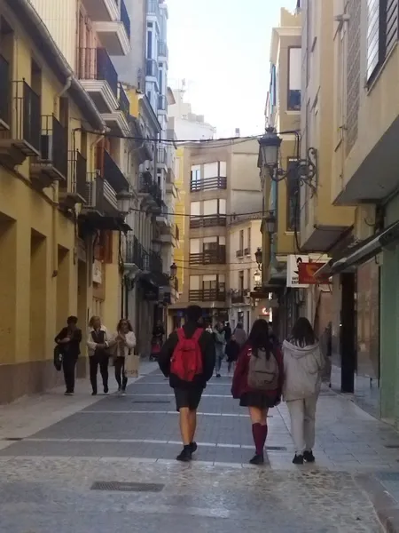 Librería sarda