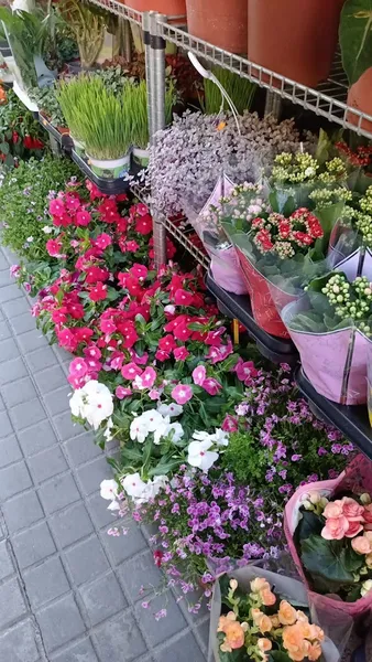 Sabateria basar Roba