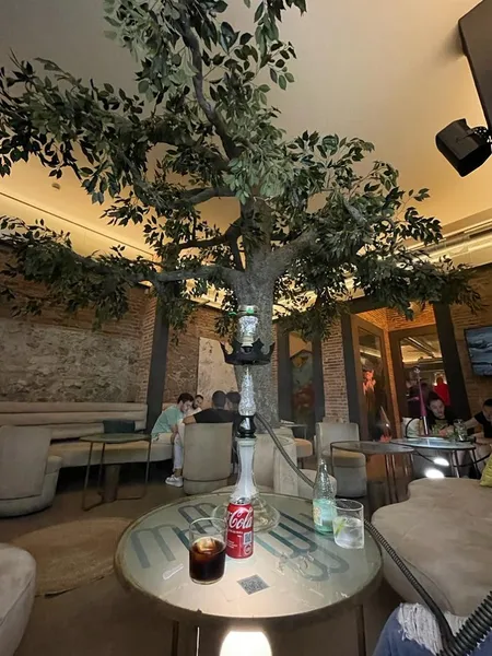 MELLOW SHISHA
