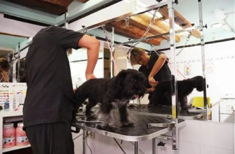 Karibuni Veterinària