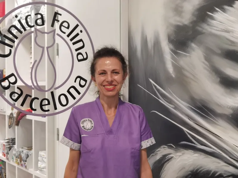 CLINICA FELINA BARCELONA