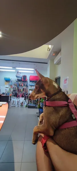 Hospital Veterinario Riera Alta Manso