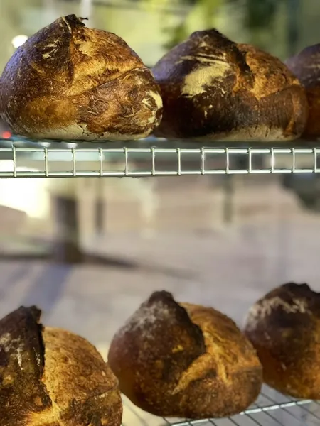 BARBARA BAKERY