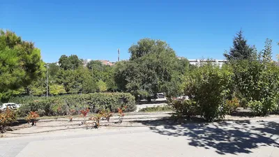 Los mejores 10 Lugares para visitar de Peñagrande Madrid