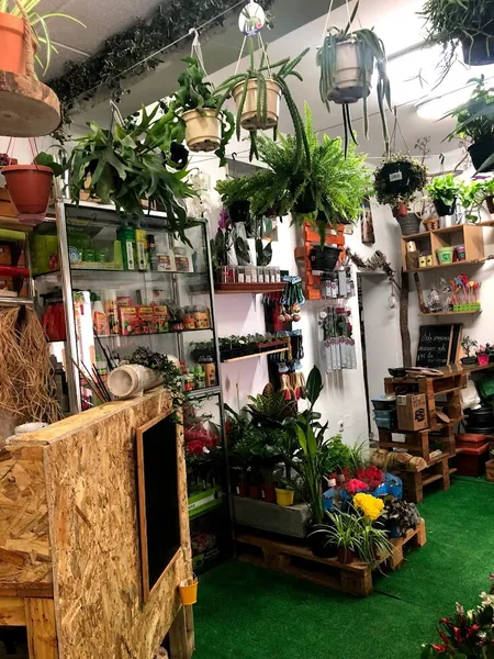 San Jorge Decoracion Verde
