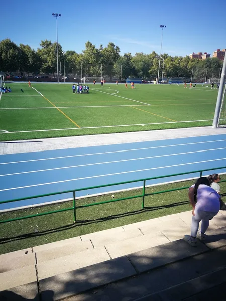 Agrupación Deportiva Madrid Sur