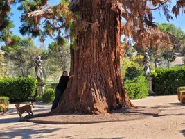 Los mejores 11 cosas que hacer de Mirasierra Madrid