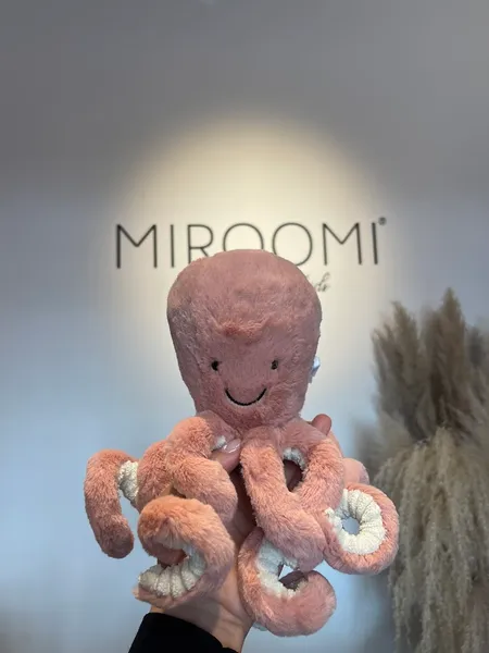 MIROOMI