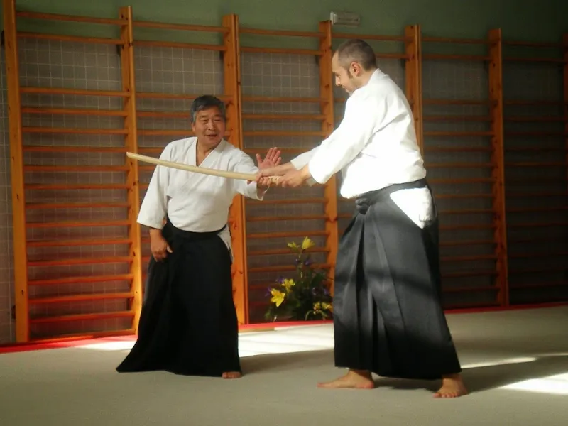 Aikidomadrid.com.-