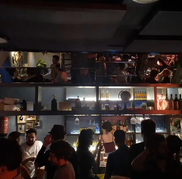 ▷ GATO - Bar en Malasaña, Madrid