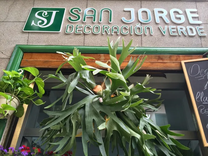 San Jorge Decoracion Verde