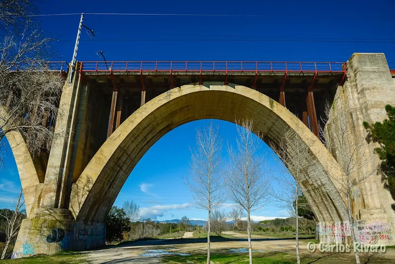 Puente del tren