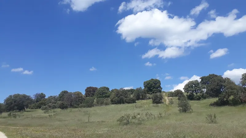 Área Recreativa de El Pardo