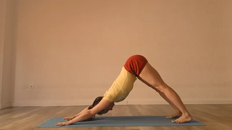 Iyengar Yoga Sevilla