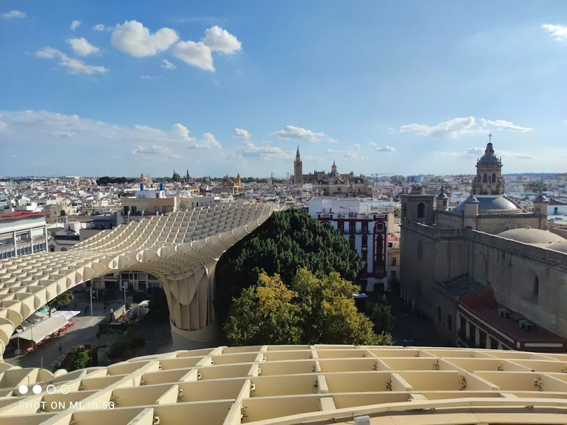 Setas de Sevilla