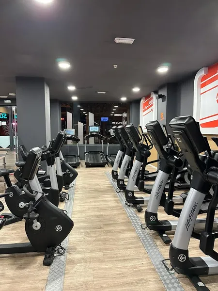 Synergym Málaga Trinidad