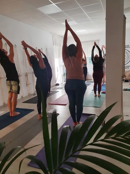 Vinyasa Yoga Estudio