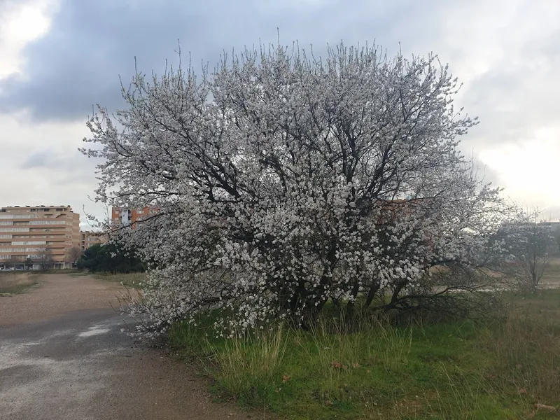 Parque de la Razón