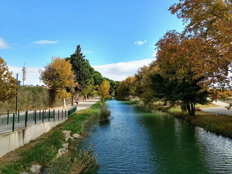 Parque del Canal