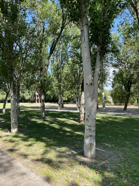 Parque de la Cruz Roja