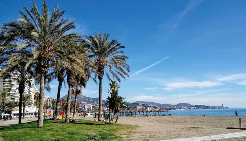 Playa la Malagueta