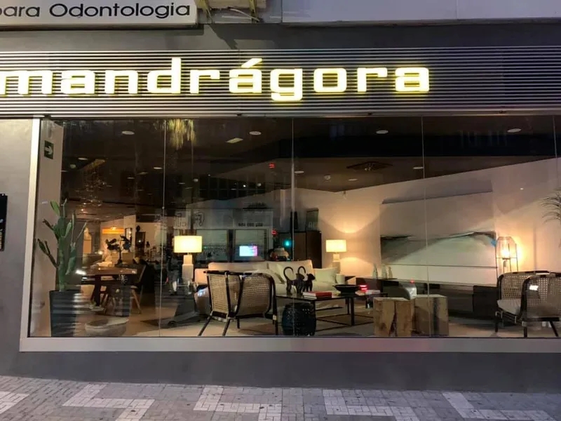 Mandrágora decoración