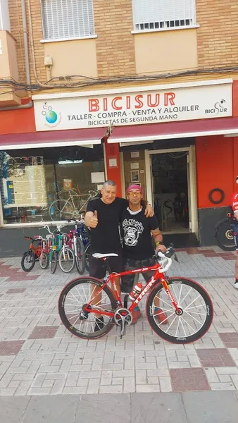 Bicisur