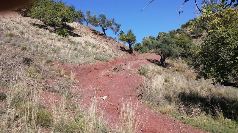 Arroyo de Casas Viejas