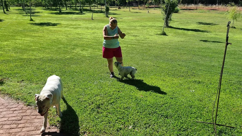 Clínica veterinaria Zoo Centro