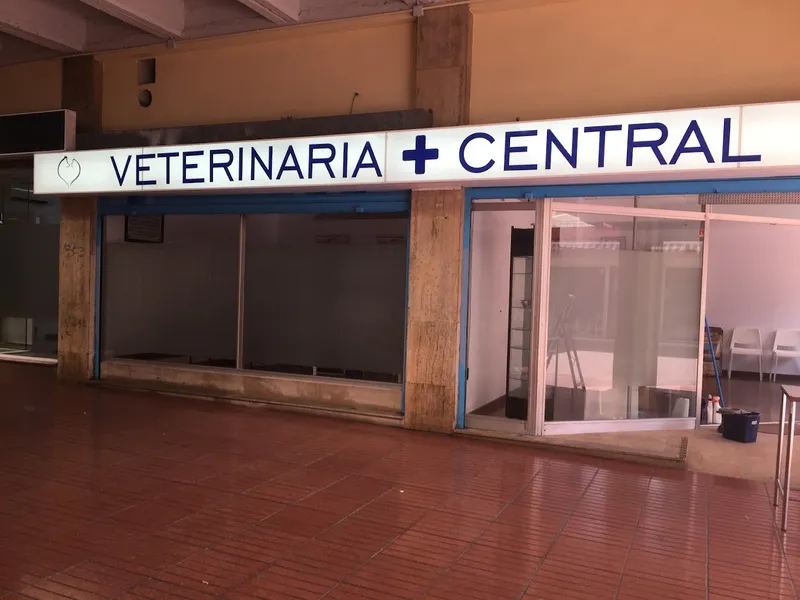 Central Vet Palma S.L.