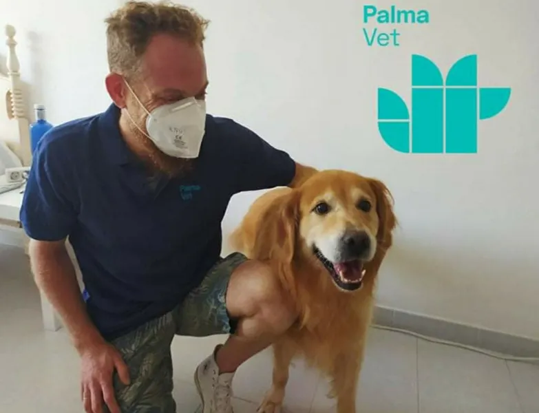 PALMA VET - Servicios VETERINARIOS A DOMICILIO - Mallorca