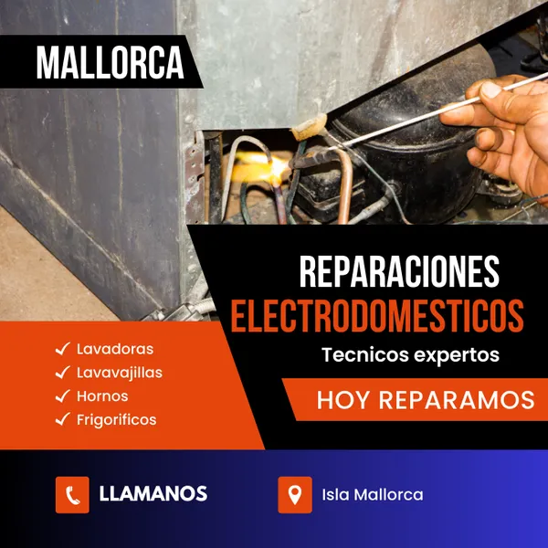 Técnico Electrodomesticos SAT Mallorca