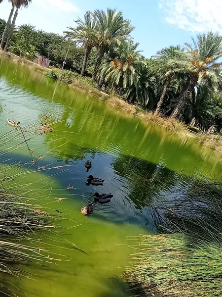 Parque Sergio Melgares