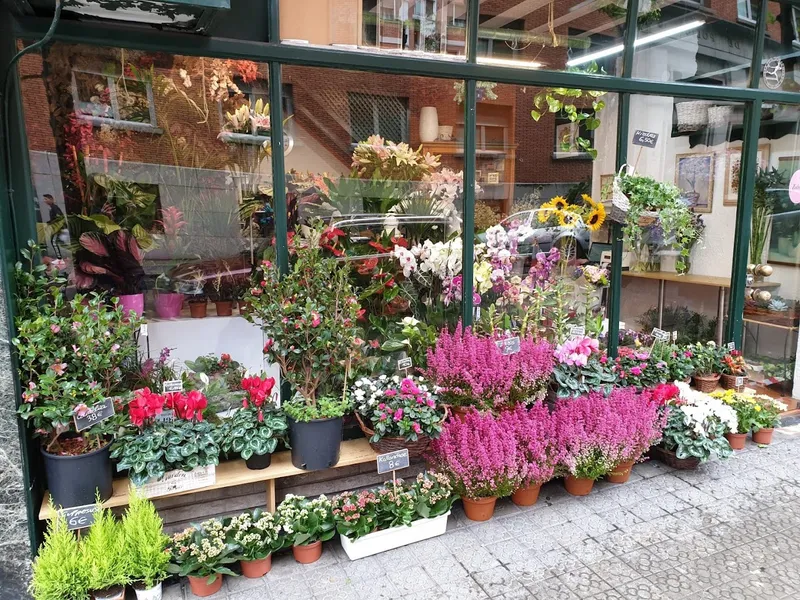 Floristeria Gordóniz