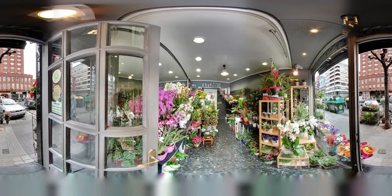 Floristerias Inés Quintana