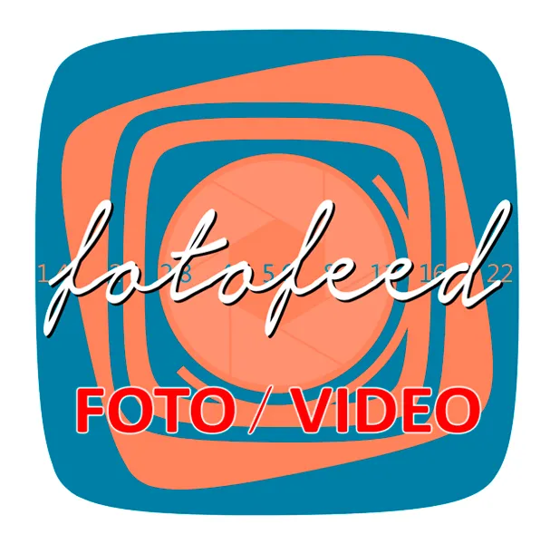 Fotofeed Alicante