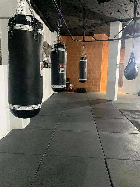 Madboxingclub / Escuela de boxeo