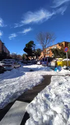 Los mejores 13 tiendas de alimentación de Lucero Madrid