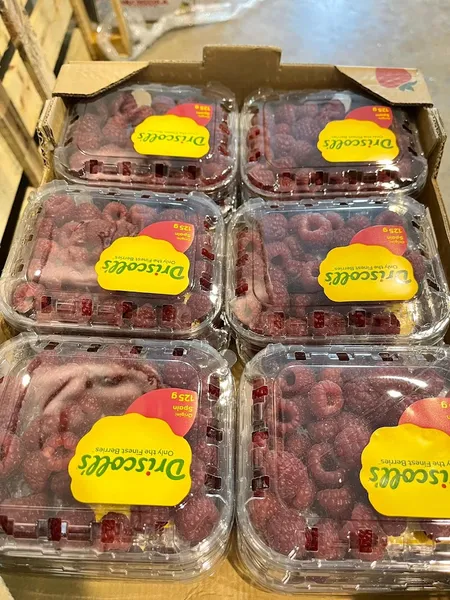 Frutas y Verduras El Camp D'elx I Frutería en Elche