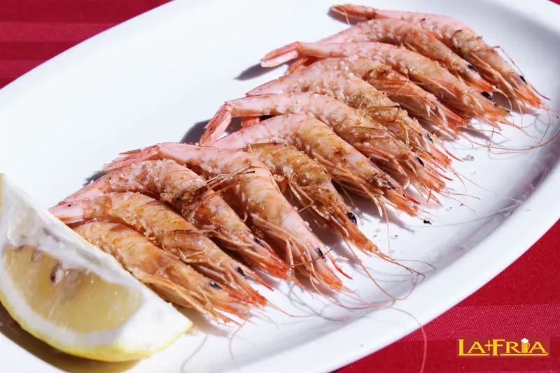 Cervecería La + Fría Marbella