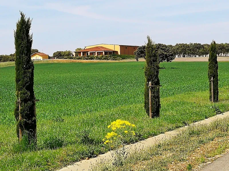 VILE La Finca