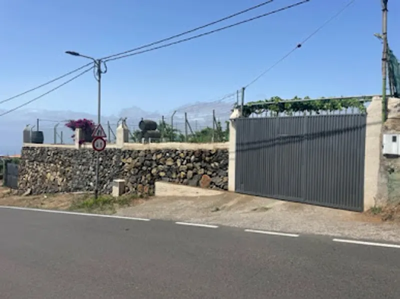 Bodega Vidueño