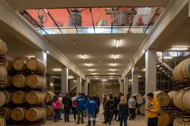 Los 17 bodegas de Albacete
