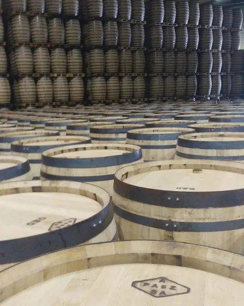 Bodegas Páez Morilla