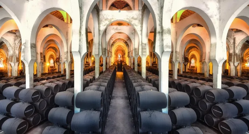 Bodegas Fundador